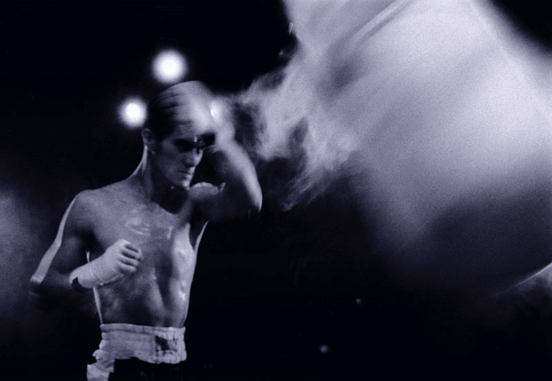 The Boxer   personal work